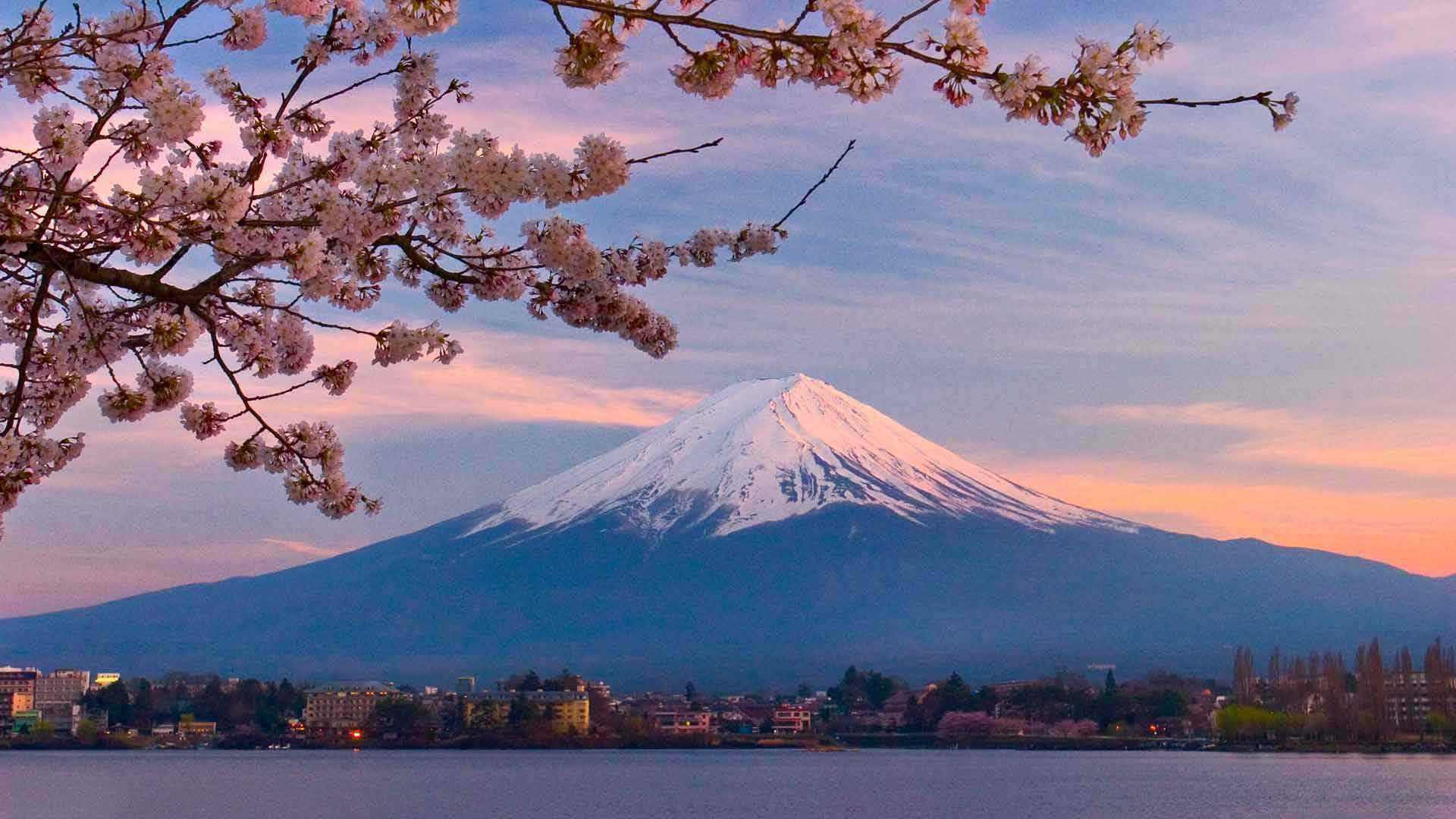 日本留学根据学历合理规划