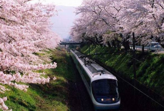 解析日本留学读研究生注意事项