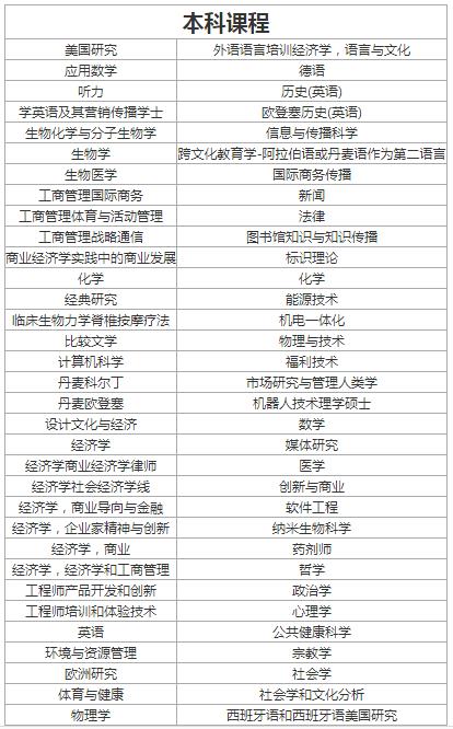 丹麦院校推荐：南丹麦大学院系设置及课程介绍